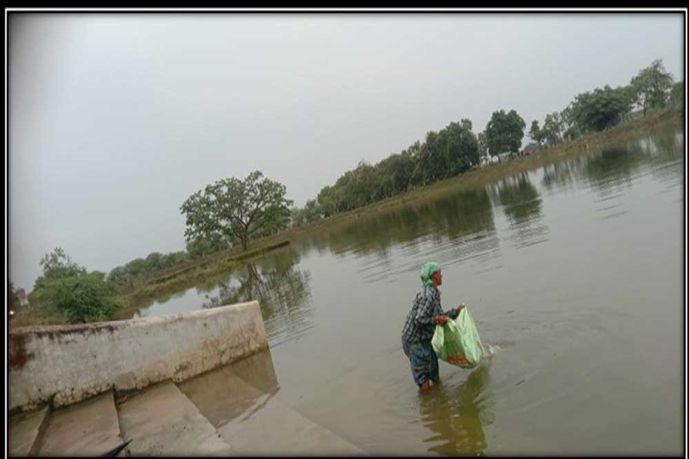 रायपुर : अमृत सरोवर से मिल रही आर्थिक उन्नति, 650 महिलाओं को मिला रोजगार