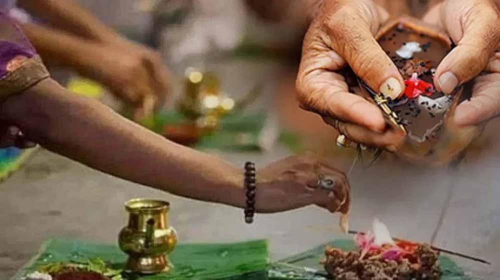 पितृपक्ष 2025: इन 3 खास तिथियों पर जरूर करें श्राद्ध, मान्यता है बेहद शुभ पितृपक्ष 2025: इन 3 खास तिथियों पर जरूर करें श्राद्ध, मान्यता है बेहद शुभ