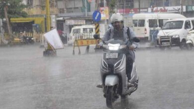 MP के 17 जिलों में भारी बारिश, भोपाल में सुबह से हो रही तेज़ बरसात MP के 17 जिलों में भारी बारिश, भोपाल में सुबह से हो रही तेज़ बरसात