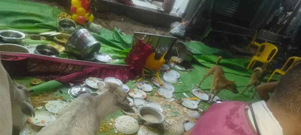 गृह प्रवेश में मातम: तेज रफ्तार कार पंडाल तोड़कर भीड़ में घुसी, चार की हालत नाजुक गृह प्रवेश में मातम: तेज रफ्तार कार पंडाल तोड़कर भीड़ में घुसी, चार की हालत नाजुक