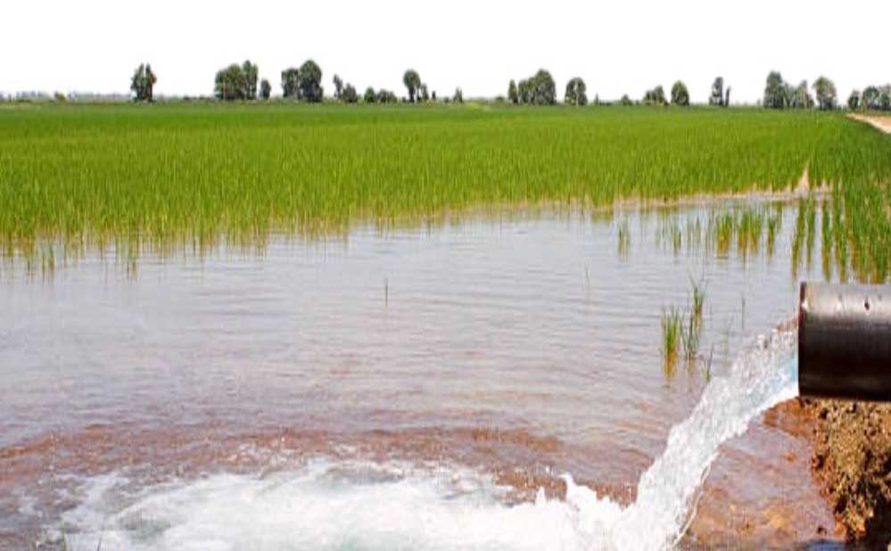 रायपुर : दो सिंचाई योजनाओं के कार्यों के लिए 8.48 करोड़ रुपये स्वीकृत रायपुर : दो सिंचाई योजनाओं के कार्यों के लिए 8.48 करोड़ रुपये स्वीकृत