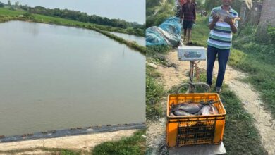 मिशन शक्ति से मिली प्रेरणा, तालाब से बदली जिंदगी
