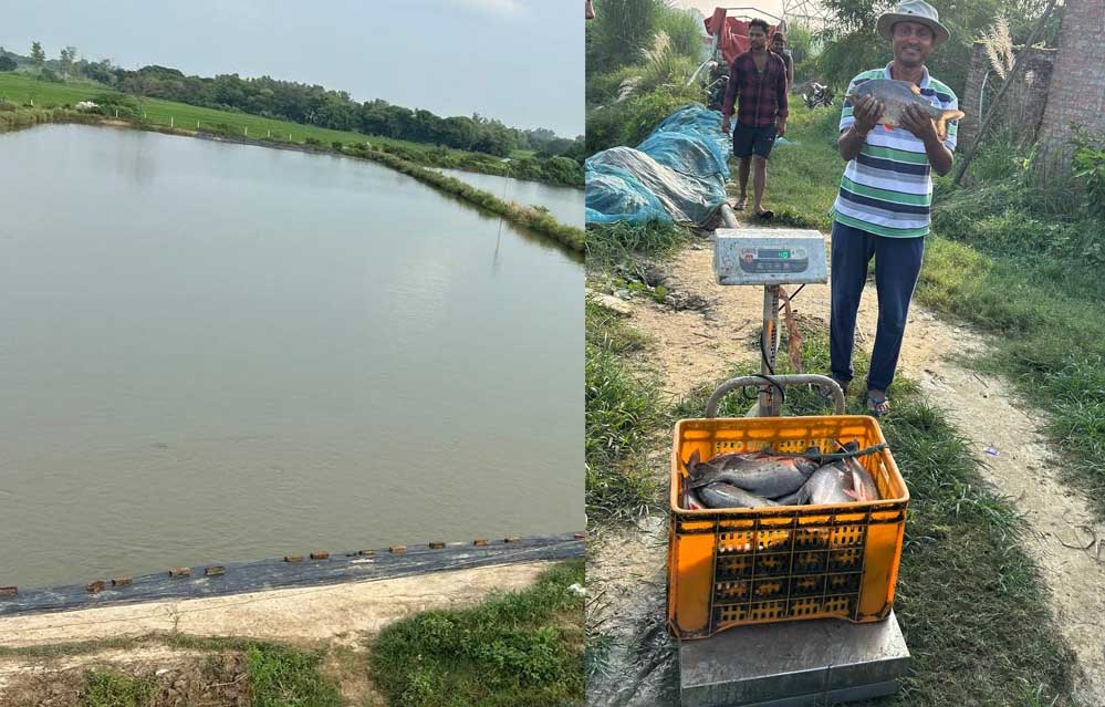 मिशन शक्ति से मिली प्रेरणा, तालाब से बदली जिंदगी मिशन शक्ति से मिली प्रेरणा, तालाब से बदली जिंदगी
