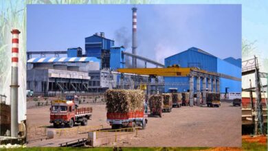 रायपुर : कवर्धा के गन्ना किसानों के लिए ऐतिहासिक फैसला