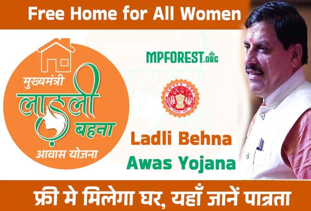 लाड़ली बहना आवास योजना में 5 लाख महिलाओं को मिला दिवाली से पहले तोहफा, लिस्ट जारी लाड़ली बहना आवास योजना में 5 लाख महिलाओं को मिला दिवाली से पहले तोहफा, लिस्ट जारी