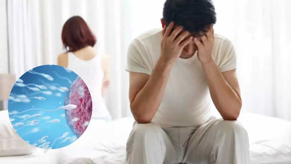 WHO स्टडी: हर छह में से एक पुरुष संतान नहीं पैदा कर पा रहा, जानें मुख्य कारण WHO स्टडी: हर छह में से एक पुरुष संतान नहीं पैदा कर पा रहा, जानें मुख्य कारण