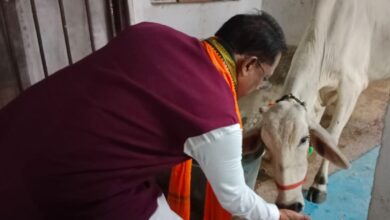 गौ-सेवा से ही मिलती है सच्ची शांति और ऊर्जा : मुख्यमंत्री विष्णु देव साय