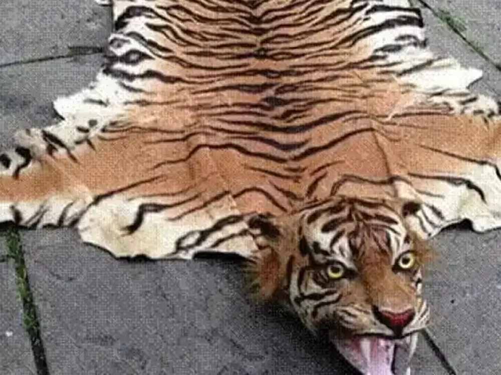 अंतर्राष्ट्रीय बाघ तस्कर ढरके लामा के विरूद्ध इंटरपोल मुख्यालय फ्रांस द्वारा रेड कार्नर नोटिस जारी अंतर्राष्ट्रीय बाघ तस्कर ढरके लामा के विरूद्ध इंटरपोल मुख्यालय फ्रांस द्वारा रेड कार्नर नोटिस जारी