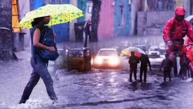 मौसम अपडेट: यूपी, बिहार और गुजरात में बारिश की चेतावनी, दिल्ली में दुर्गा पूजा पर खुशखबरी! मौसम अपडेट: यूपी, बिहार और गुजरात में बारिश की चेतावनी, दिल्ली में दुर्गा पूजा पर खुशखबरी!