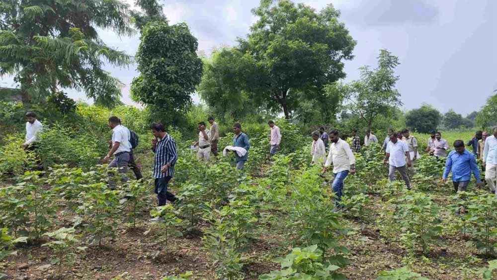 MP में जुड़वां नवजातों की मौत: 15 दिन बाद कब्र से निकाला गया बच्चे का शव, पोस्टमार्टम से खुलेंगे राज