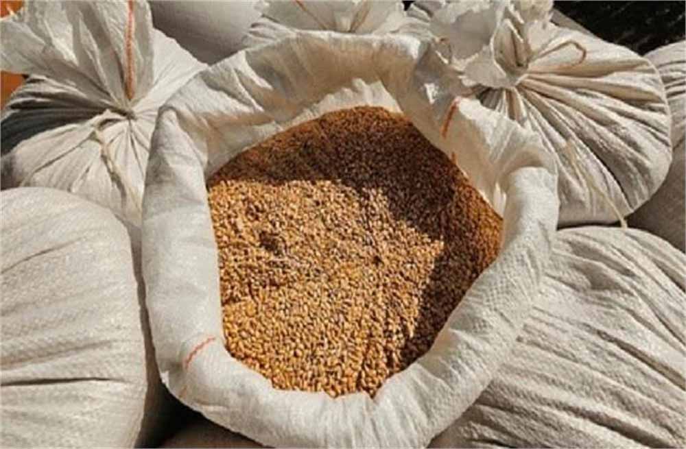 पाकिस्तान में बाढ़ के बाद भूख का संकट: पंजाब ने रोकी गेहूं की सप्लाई, KP में दाम 68% तक बढ़े