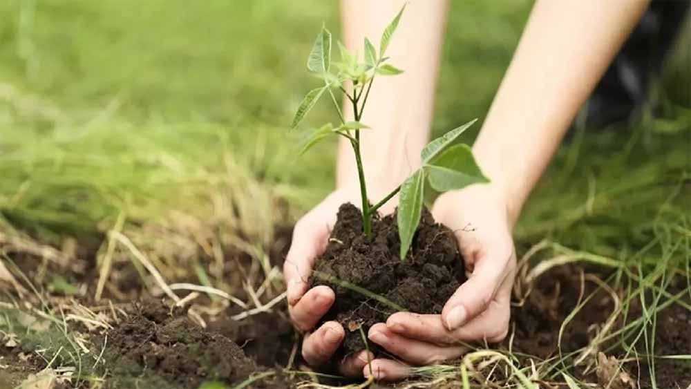 मंदसौर में किसानों के पैसे पर हंगामा: पौधों की सिंचाई पर दो लाख रुपये, ट्रैक्टर का मामला भी गर्म! मंदसौर में किसानों के पैसे पर हंगामा: पौधों की सिंचाई पर दो लाख रुपये, ट्रैक्टर का मामला भी गर्म!