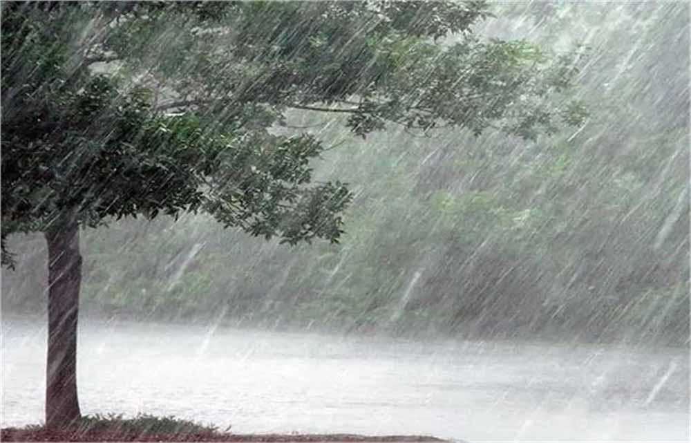 मौसम विभाग की बड़ी चेतावनी: मानसून 15 सितंबर के करीब हो सकता है विदा, तैयार रहें बदलाव के लिए!