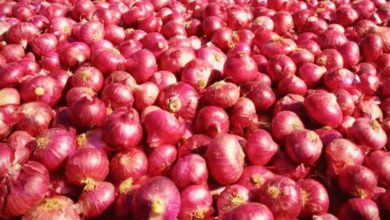अब प्याज की बढ़ती कीमत से राहत, इन शहरों में मिलेगा सब्सिडी वाला प्याज