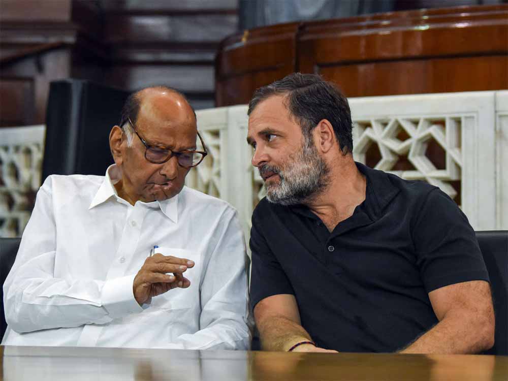 राहुल गांधी के सवालों पर भाजपा की प्रतिक्रिया और चुनाव आयोग पर उठते सवाल: शरद पवार का बड़ा बयान