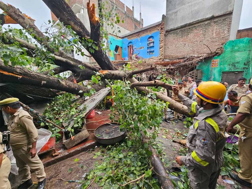 लखनऊ में बारिश का कहर: भारी पेड़ गिरा, 1 की मौत, कई घायल, डिप्टी सीएम现场 पहुंचे लखनऊ में बारिश का कहर: भारी पेड़ गिरा, 1 की मौत, कई घायल, डिप्टी सीएम现场 पहुंचे