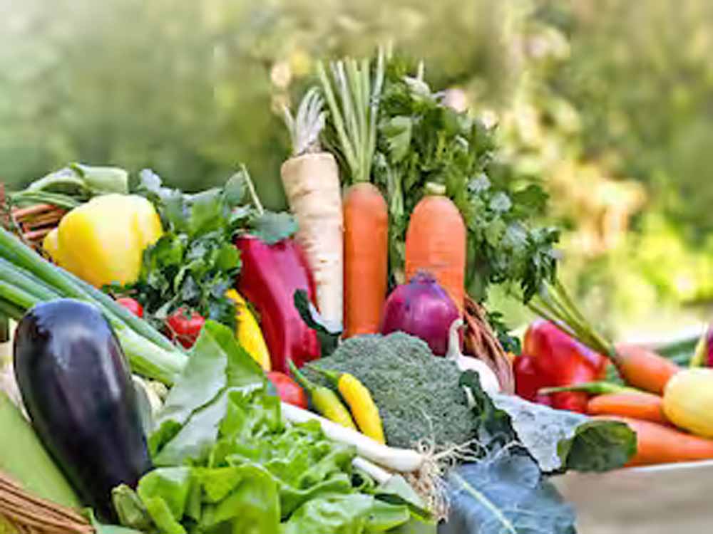 सितंबर में ये फसलें उगाएं, कुछ ही महीनों में पाएं सालभर की आमदनी!