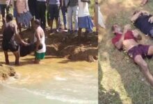 मधुमक्खियों के हमले से बचते हुए तालाब में कूदे पिता-पुत्र, दोनों की डूबने से मौत