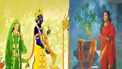 तुलसी विवाह 2025: जानें तिथि, शुभ मुहूर्त और पूजा विधि तुलसी विवाह 2025: जानें तिथि, शुभ मुहूर्त और पूजा विधि