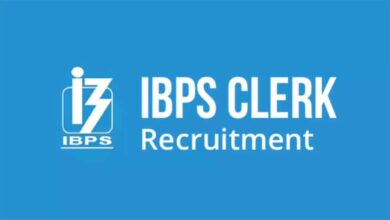 आईबीपीएस क्लर्क भर्ती 2025: वैकेंसी में बड़ी बढ़ोतरी, यूपी-बिहार के उम्मीदवारों के लिए खुशखबरी आईबीपीएस क्लर्क भर्ती 2025: वैकेंसी में बड़ी बढ़ोतरी, यूपी-बिहार के उम्मीदवारों के लिए खुशखबरी