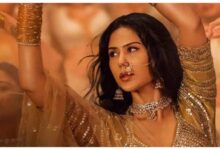 ‘मैंने अभी सब कुछ हासिल नहीं किया’, लोकप्रियता को लेकर सोनम बाजवा ने जाहिर की अपनी राय