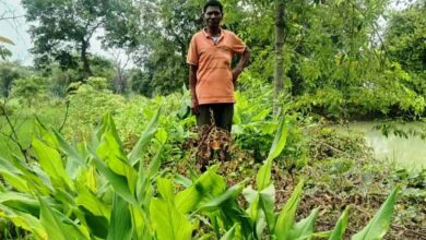 डबरी ने खोले समृद्धि के द्वार, दुलार सिंह का सपना हुआ साकार डबरी ने खोले समृद्धि के द्वार, दुलार सिंह का सपना हुआ साकार