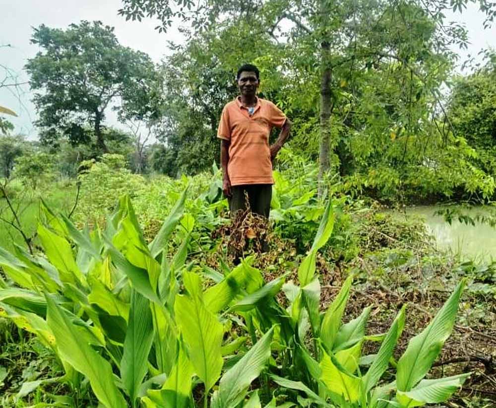 डबरी ने खोले समृद्धि के द्वार, दुलार सिंह का सपना हुआ साकार डबरी ने खोले समृद्धि के द्वार, दुलार सिंह का सपना हुआ साकार