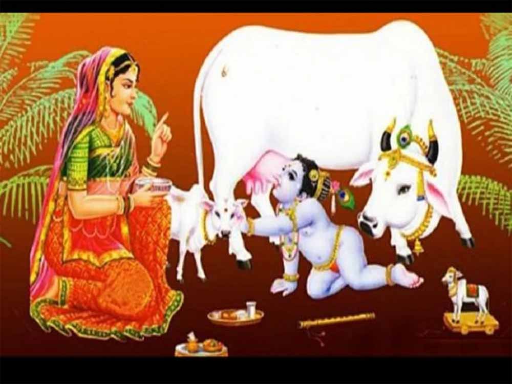 दीपावली पंचपर्व की शुरुआत आज गोवत्स द्वादशी से, जानें शुभ मुहूर्त और महत्व दीपावली पंचपर्व की शुरुआत आज गोवत्स द्वादशी से, जानें शुभ मुहूर्त और महत्व