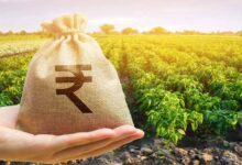 पीएम किसान योजना की 21वीं किस्त पर बड़ा अपडेट: क्या पति-पत्नी दोनों को मिलेगा फायदा?
