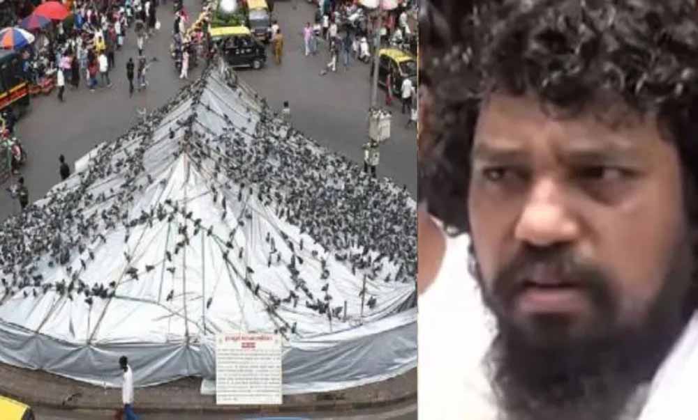 कबूतरों से शुरू हुई कहानी: जैन समाज की पहली राजनीतिक पार्टी का अनोखा सफर कबूतरों से शुरू हुई कहानी: जैन समाज की पहली राजनीतिक पार्टी का अनोखा सफर