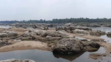 गायखुरी पत्थर की रंगोली: एक ऐसा इतिहास जो समय को थामकर रह गया! गायखुरी पत्थर की रंगोली: एक ऐसा इतिहास जो समय को थामकर रह गया!