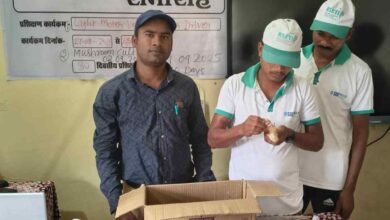 आत्मसमर्पित माओवादियों ने थामी तरक्की की डोर, समाज की मुख्यधारा से जोड़ने के लिए शासन की अभिनव पुनर्वास नीति से मिल रहा लाभ