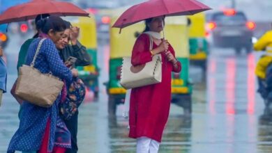 मध्य प्रदेश में सर्दी ने दी दस्तक, बर्फीली हवाओं से गिरा पारा, कई जिलों में बूंदाबांदी के आसार