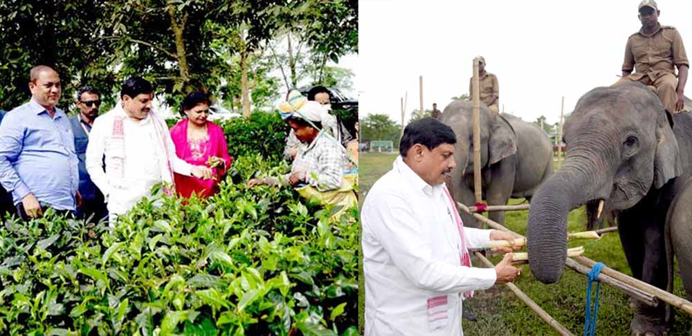 मध्यप्रदेश और असम के बीच वन्य जीव पर्यटन में साझेदारी के लिए होगी विशेष पहल : मुख्यमंत्री डॉ. यादव मध्यप्रदेश और असम के बीच वन्य जीव पर्यटन में साझेदारी के लिए होगी विशेष पहल : मुख्यमंत्री डॉ. यादव