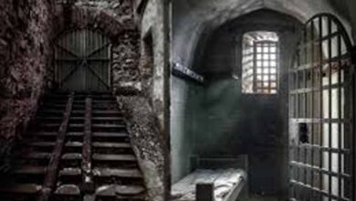 जेल की दीवारों के भीतर गूँजी छठ की भक्ति: 56 बंदियों ने रखा व्रत, प्रशासन ने की विशेष व्यवस्था जेल की दीवारों के भीतर गूँजी छठ की भक्ति: 56 बंदियों ने रखा व्रत, प्रशासन ने की विशेष व्यवस्था