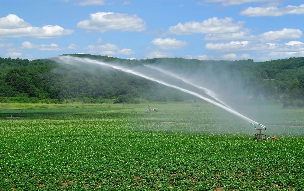 रायपुर : दो सिंचाई परियोजनाओं के कार्यों के लिए 7.36 करोड़ रूपए स्वीकृत