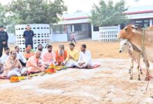 गोरखनाथ मंदिर की गोशाला में मुख्यमंत्री ने की गोवर्धन पूजा