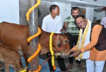 रायपुर : गोवर्धन पूजा के अवसर पर मुख्यमंत्री ने किया गौपूजन, प्रदेशवासियों की सुख-समृद्धि की कामना की