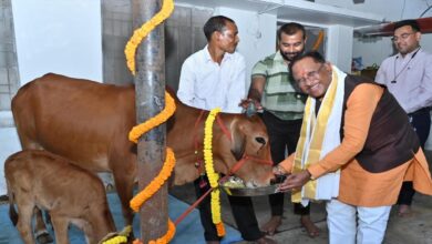 रायपुर : गोवर्धन पूजा के अवसर पर मुख्यमंत्री ने किया गौपूजन, प्रदेशवासियों की सुख-समृद्धि की कामना की रायपुर : गोवर्धन पूजा के अवसर पर मुख्यमंत्री ने किया गौपूजन, प्रदेशवासियों की सुख-समृद्धि की कामना की