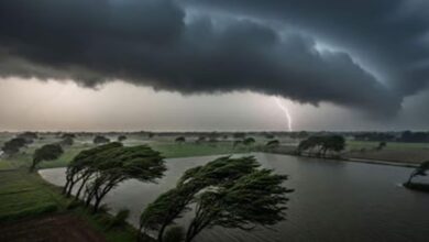 अरब सागर के लो प्रेशर का असर, मध्य प्रदेश के 12 जिलों में बारिश; मैहर में बिजली गिरने से 2 की मौत अरब सागर के लो प्रेशर का असर, मध्य प्रदेश के 12 जिलों में बारिश; मैहर में बिजली गिरने से 2 की मौत