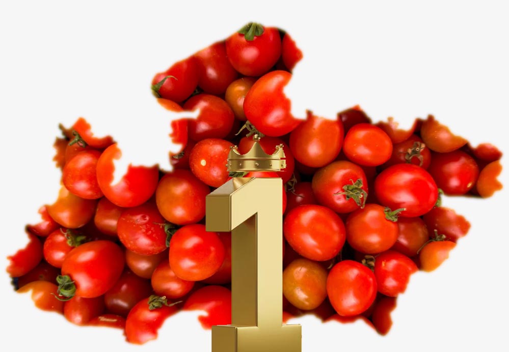 टमाटर उत्पादन में देश में नंबर-1 है मध्यप्रदेश