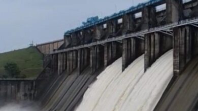 तवा डैम का जलस्तर बढ़ा, 3 गेट खोले; 19,778 क्यूसेक पानी छोड़ा, गुना-श्योपुर में फसल प्रभावित तवा डैम का जलस्तर बढ़ा, 3 गेट खोले; 19,778 क्यूसेक पानी छोड़ा, गुना-श्योपुर में फसल प्रभावित