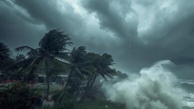 मोंथा साइक्लोन का खतरा: आंध्र प्रदेश तट पर आज रात तक पहुंच सकता है तूफान, हाई अलर्ट जारी मोंथा साइक्लोन का खतरा: आंध्र प्रदेश तट पर आज रात तक पहुंच सकता है तूफान, हाई अलर्ट जारी