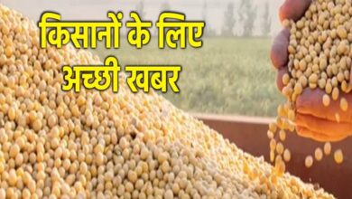 मध्य प्रदेश भावांतर योजना में 14727 किसानों से 25999 टन सोयाबीन खरीदी, जनवरी तक जारी मध्य प्रदेश भावांतर योजना में 14727 किसानों से 25999 टन सोयाबीन खरीदी, जनवरी तक जारी