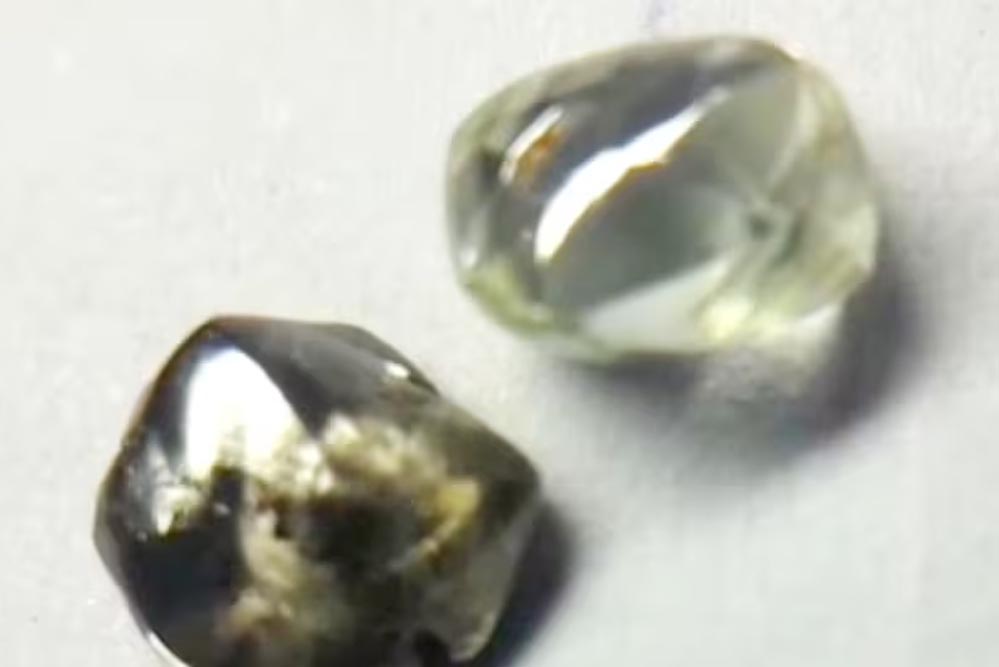 पन्ना टाइगर रिजर्व के गाइड को मिले दो चमचमाते हीरे, आगामी नीलामी में होंगे रखे पन्ना टाइगर रिजर्व के गाइड को मिले दो चमचमाते हीरे, आगामी नीलामी में होंगे रखे