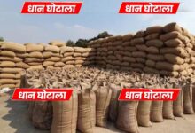 धान खरीदी घोटाले में MP सरकार को 43 करोड़ का नुकसान, अधिकारियों की संपत्ति से भरपाई होगी