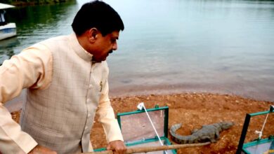 राज्य सरकार जीवों के संरक्षण के लिए है संकल्पबद्ध : मुख्यमंत्री डॉ. यादव राज्य सरकार जीवों के संरक्षण के लिए है संकल्पबद्ध : मुख्यमंत्री डॉ. यादव