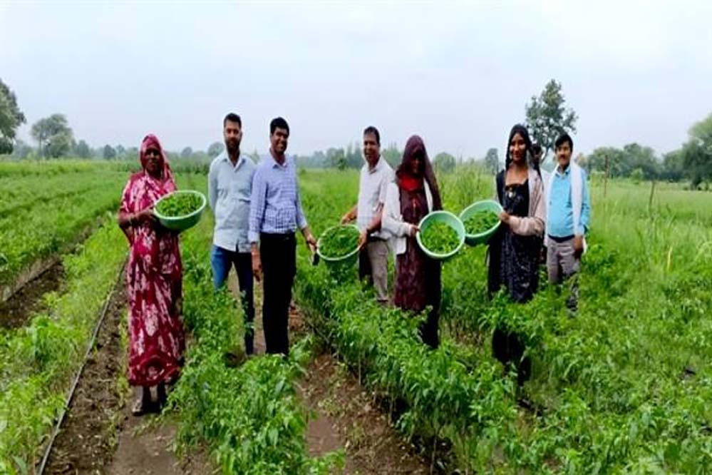 मध्यप्रदेश में क्लस्टर आधारित सब्जी उत्पादन से बदली किसानों की किस्मत, 14 जिलों में 3000 लाभार्थी