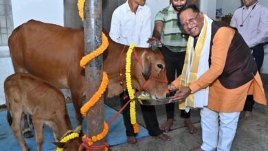 गोवर्धन पूजा के अवसर पर मुख्यमंत्री ने किया गौपूजन, प्रदेशवासियों की सुख-समृद्धि की कामना की गोवर्धन पूजा के अवसर पर मुख्यमंत्री ने किया गौपूजन, प्रदेशवासियों की सुख-समृद्धि की कामना की