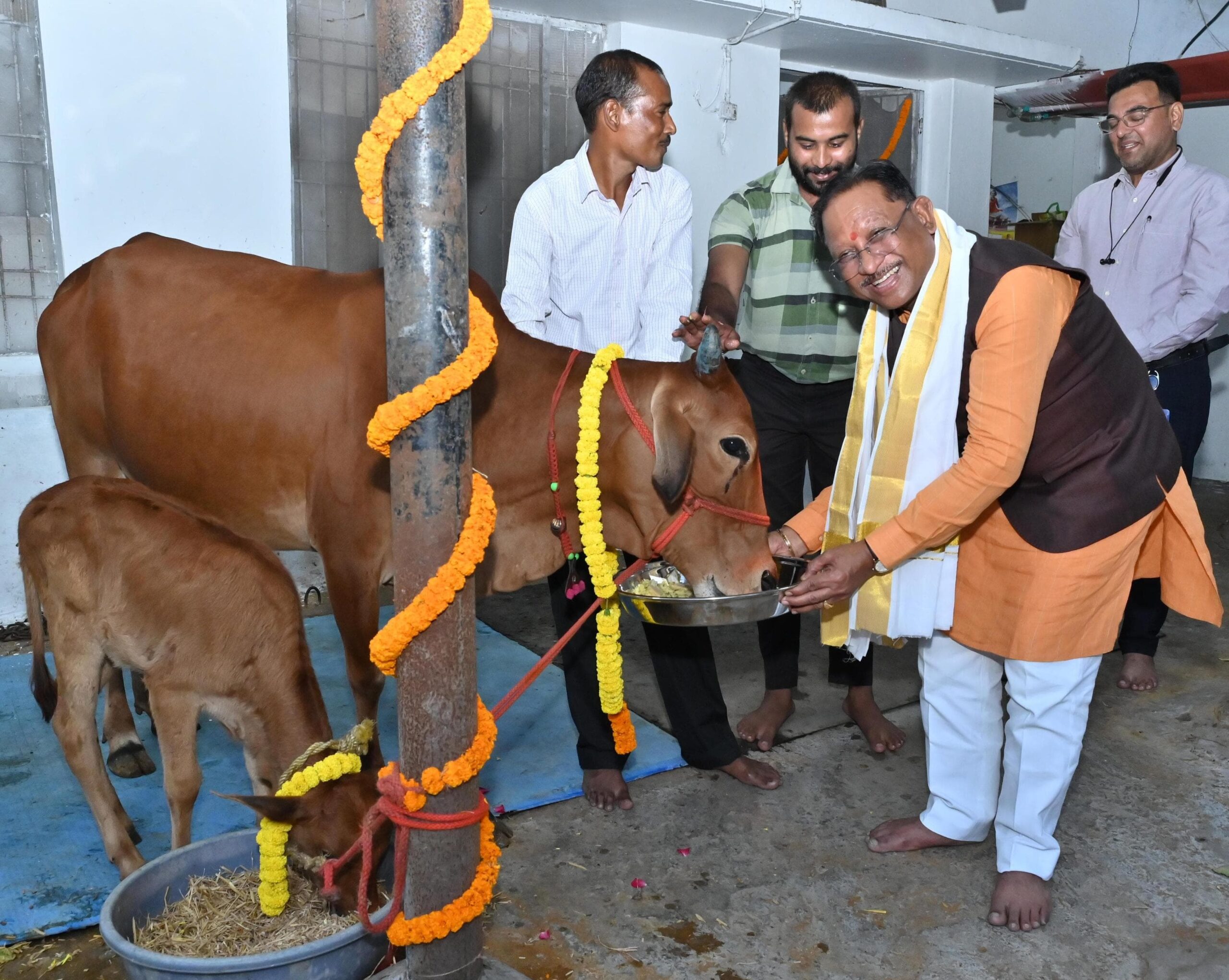 गोवर्धन पूजा के अवसर पर मुख्यमंत्री ने किया गौपूजन, प्रदेशवासियों की सुख-समृद्धि की कामना की गोवर्धन पूजा के अवसर पर मुख्यमंत्री ने किया गौपूजन, प्रदेशवासियों की सुख-समृद्धि की कामना की